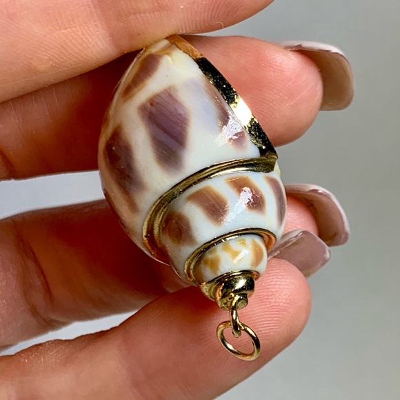 ⭐️ Gold Plated Shell ⭐️ - Picture 5 of 8